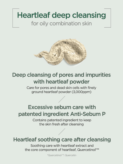 Heartleaf Quercetinol Pore Deep Cleansing Foam